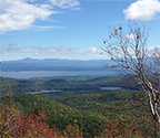 Will This Summer's Drought Impact Adirondack Fall Foliage?